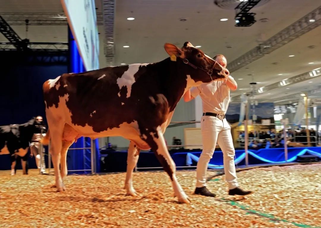  德国汉诺威畜牧业展览会 EUROTIER HANNOVER