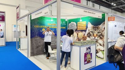 2026年迪拜宠物用品展览会 PETWORLD解析中东宠物市场