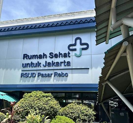 东南亚各国（如印尼、越南、泰国、马来西亚）医疗市场规模及增速对比如何？